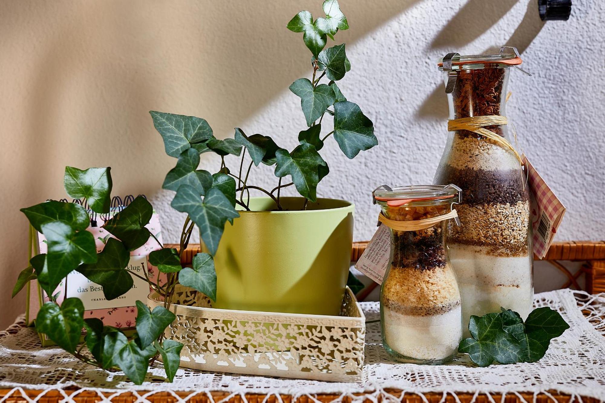 Ferienhaus Zur Maultrommel Molln Dış mekan fotoğraf